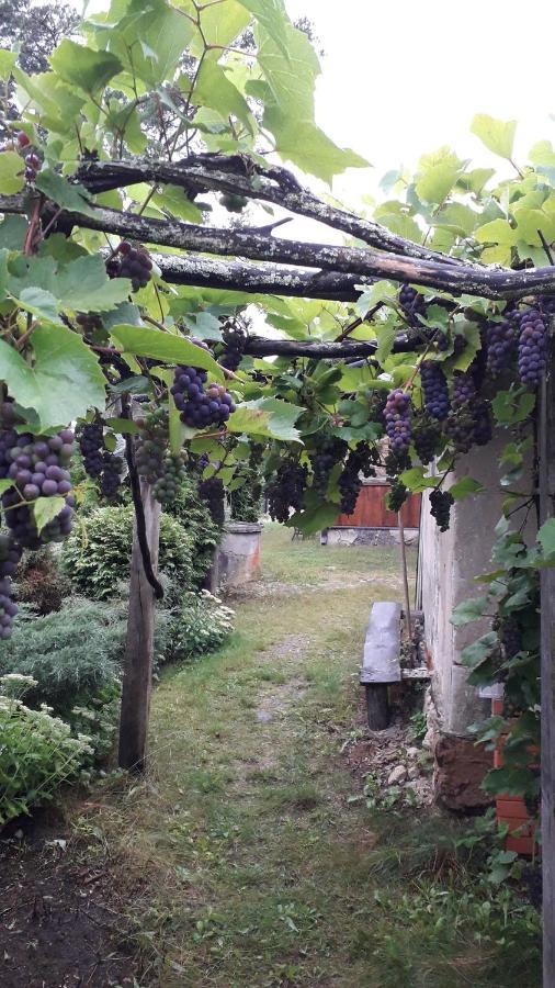 Idilliska Latgaliesu Lauku Maja Ar Melno Pirti Villa Аглона Екстериор снимка