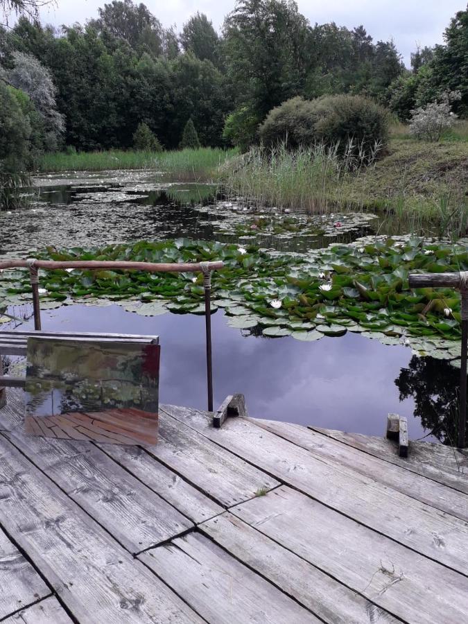 Idilliska Latgaliesu Lauku Maja Ar Melno Pirti Villa Аглона Екстериор снимка